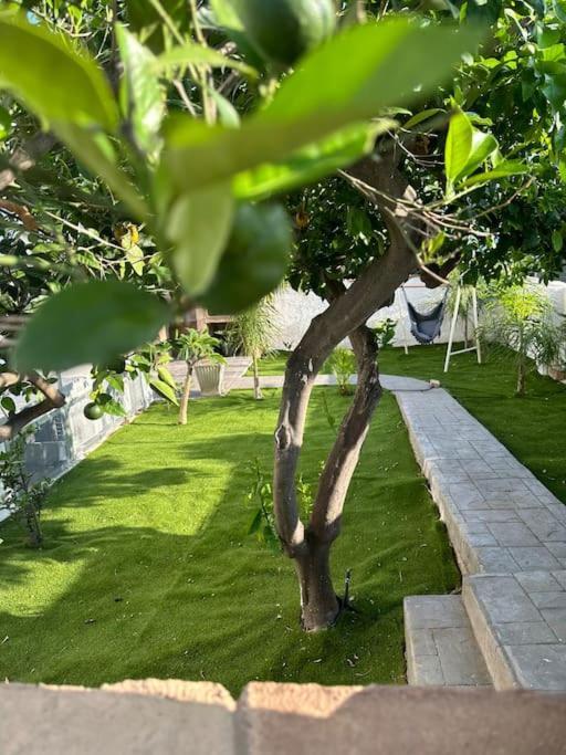 Lamarticata-Likeshome Garden Triscina Bagian luar foto